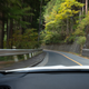 Image for article titled There's a Twisting Mountain Road Hiding Inside Japan's Biggest City
